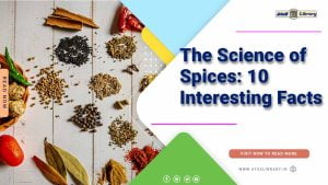 Amazing Facts About Spices: You Need to Know for Health and Flavor 1 Facts About Spices