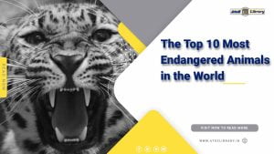 Learn About Endangered Animals : Protect Our Planet's Wildlife 1 Endangered Animals